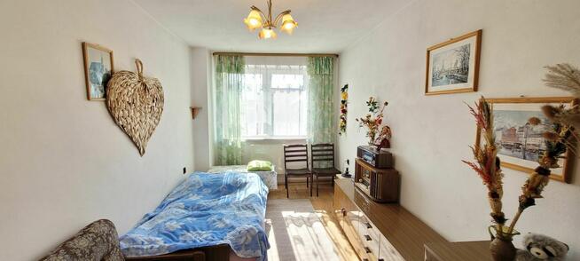 Bliźniak w Cieplicach