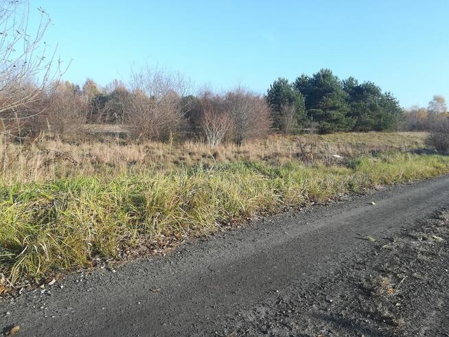 działka budowlana Jaworznia (k.Kielc) na sprzedaż