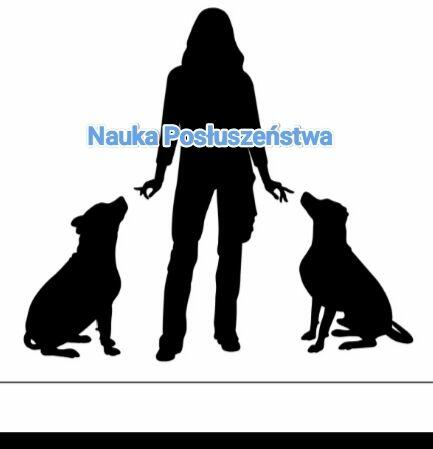 Przedszkole dla Szczeniąt Gdańsk Gang Urwisów