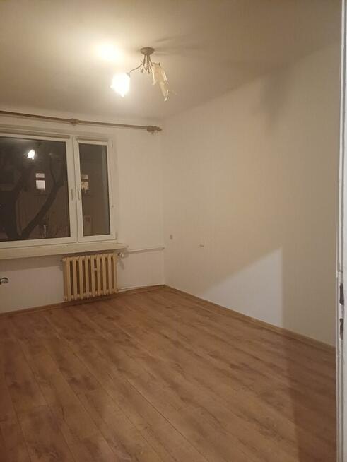 Wynajem M-4 Tysiąclecie