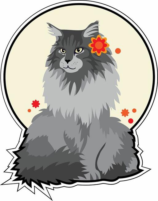 Koty z azylu do bezpłatnej adopcji!