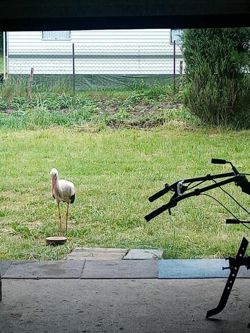 Sprzedam Dom z Piękną Działką