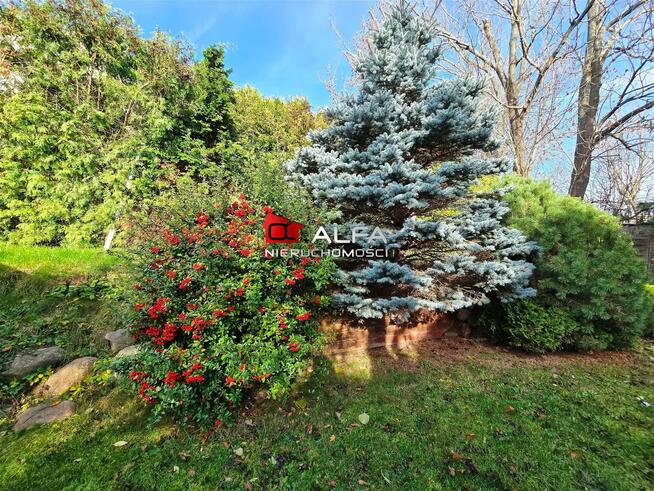 Mieszkanie Szczawno Zdrój gm. Wałbrzych