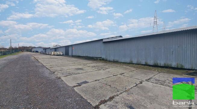 Lokal użytkowy Pabianice