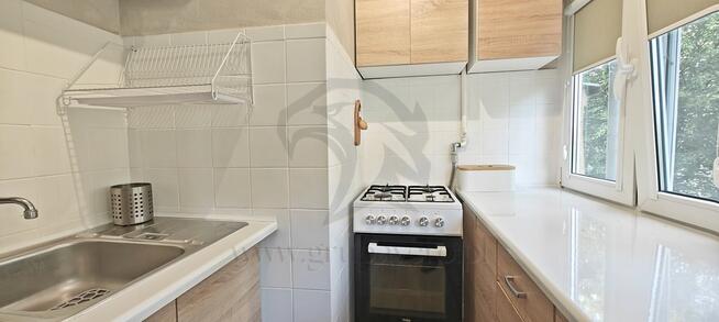 Żabciu, Babcia prawdę Ci powie