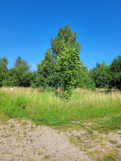 Działka z gotowymi WZ pod Twój dom