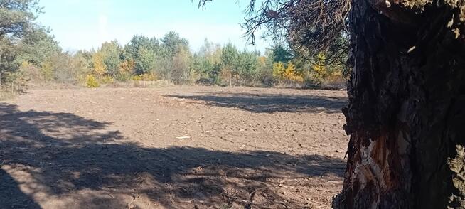 Zarób na CPK – niektórzy już zarabiają!...;)