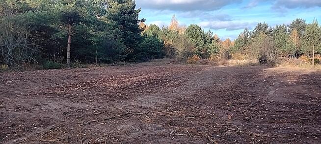 Zarób na CPK – niektórzy już zarabiają!...;)