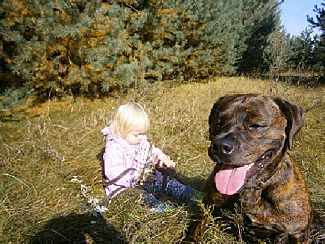 Zarób na CPK – niektórzy już zarabiają!...;)