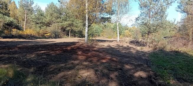 Zarób na CPK – niektórzy już zarabiają!...;)