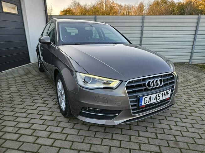 Audi A3 1.4 TFSi 125KM xenon BEZWYPADEK 5 drzwi ZADBANY BDB stan
