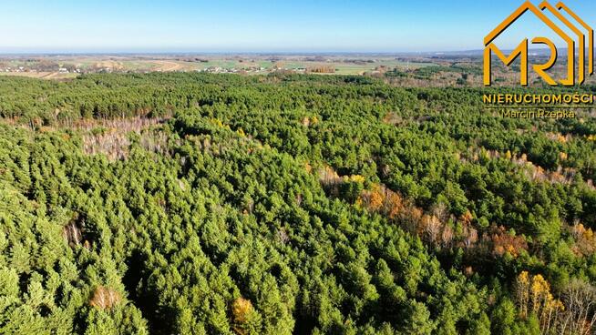 Działka budowlana Czarna