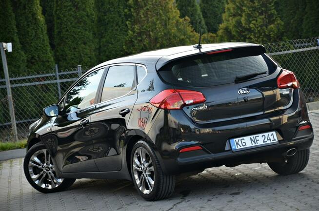 Kia Cee'd 1,6CRDI *LED*Niemcy*NAVI*kAMERASerwis*Super Stan