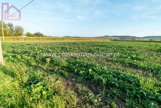 Działka budowlana Krówniki gm. Przemyśl