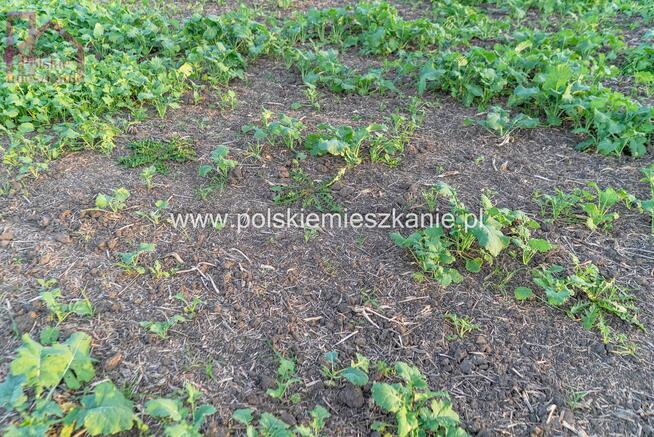 Działka budowlana Krówniki gm. Przemyśl