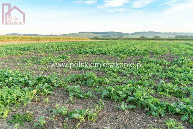 Działka budowlana Krówniki gm. Przemyśl