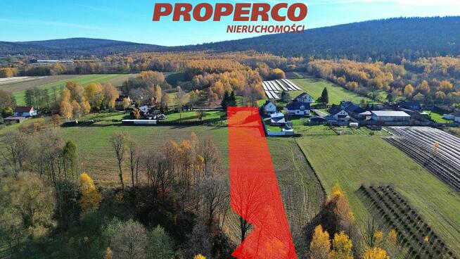 Działka Jeleniów gm. Nowa Słupia