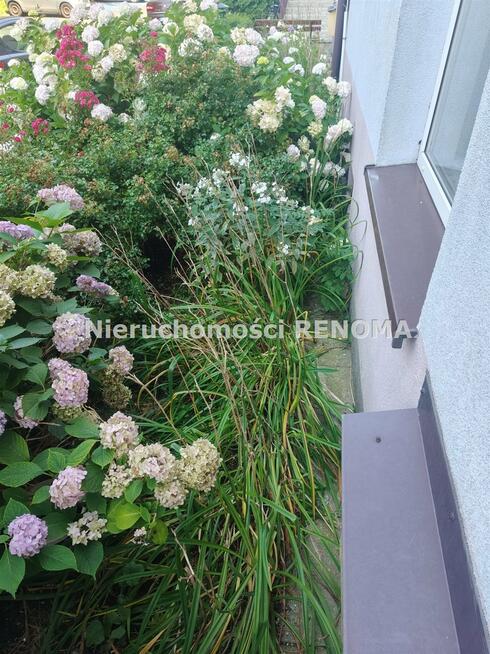 Mieszkanie Jastrzębie-Zdrój Centrum, Pomorska