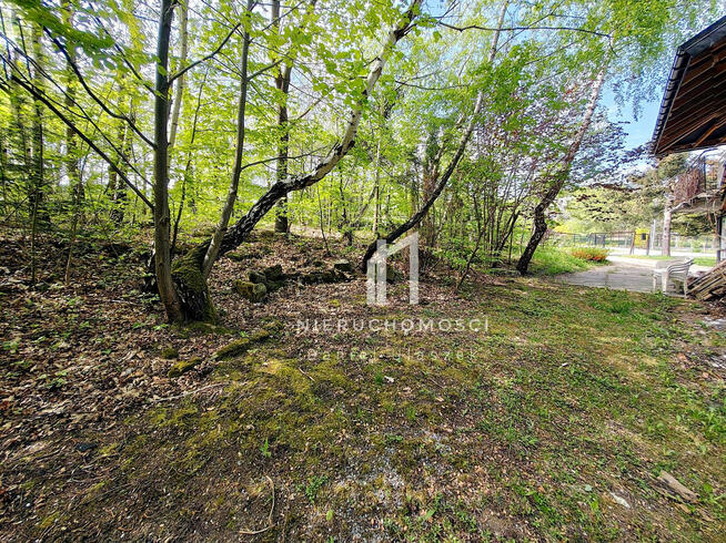 Dom Folusz gm. Dębowiec