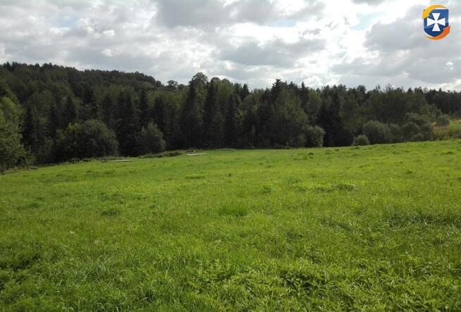 Działka rekreacyjna/rolna 81a (8100m2) Glinik Górny