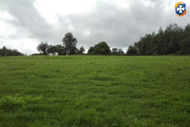 Działka rekreacyjna/rolna 81a (8100m2) Glinik Górny