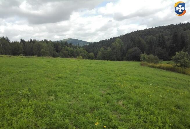 Działka rekreacyjna/rolna 81a (8100m2) Glinik Górny