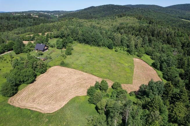 Działka rekreacyjna/rolna 81a (8100m2) Glinik Górny