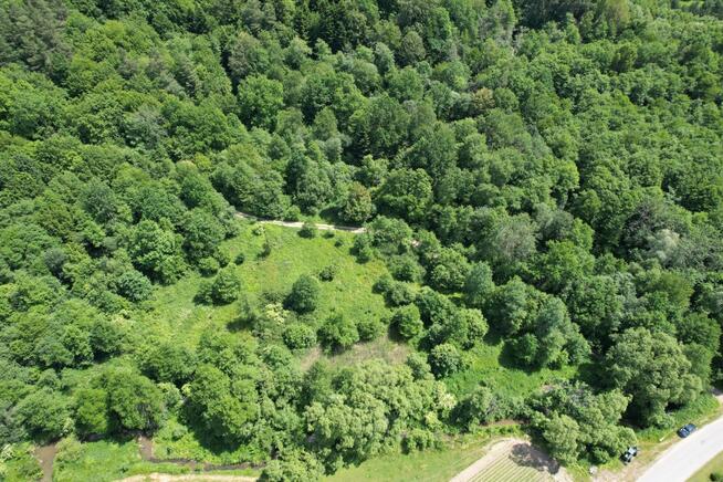 Działka rolno/rekreacyjna 61a (6100m2) Żohatyn