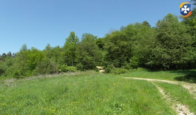 Działka rolno/rekreacyjna 61a (6100m2) Żohatyn