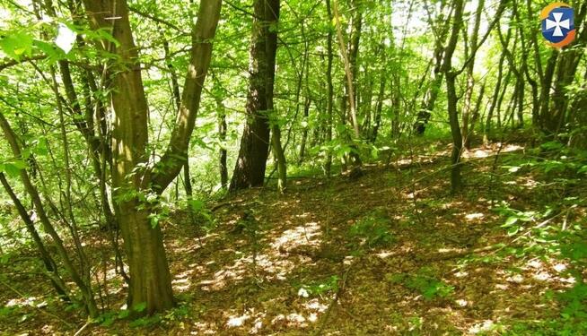 Działka rolno/rekreacyjna 61a (6100m2) Żohatyn