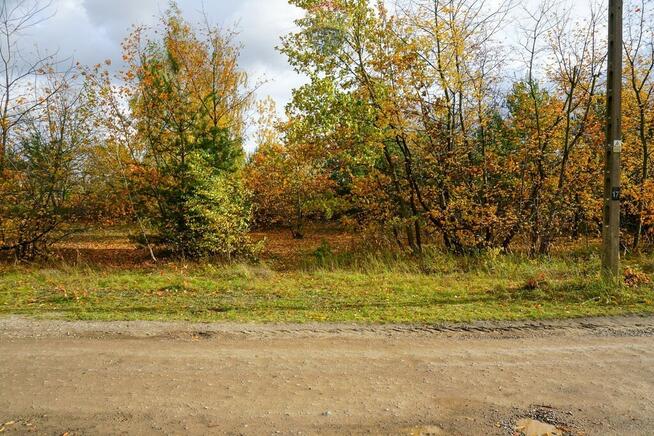 Działka 1209m2 (udział 1/2), Milanówek