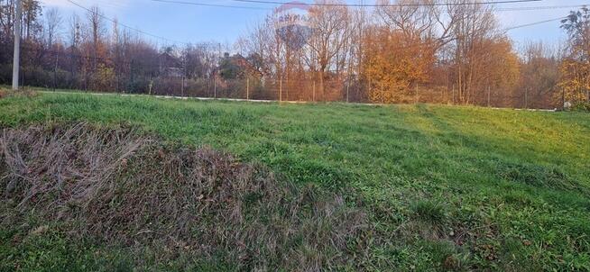 Góry, lasy i doliny - Beskidy