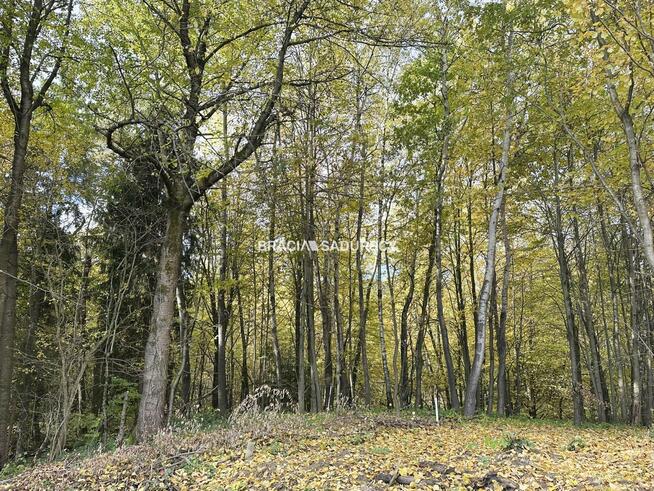 Działka budowlana Mogilany Włosań