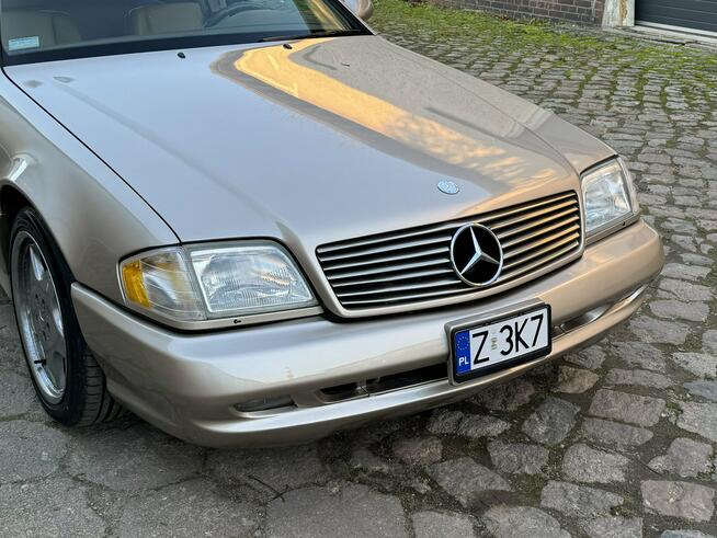 Mercedes SL 500 2000 SL500 pakiet AMG LIFT zarejestrowny LUXURYCLASSIC