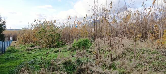 Działka budowlana Sychowo gm. Luzino, Jana Pawła Ii