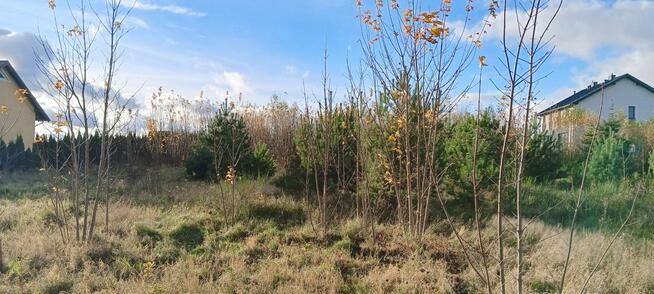 Działka budowlana Sychowo gm. Luzino, Jana Pawła Ii
