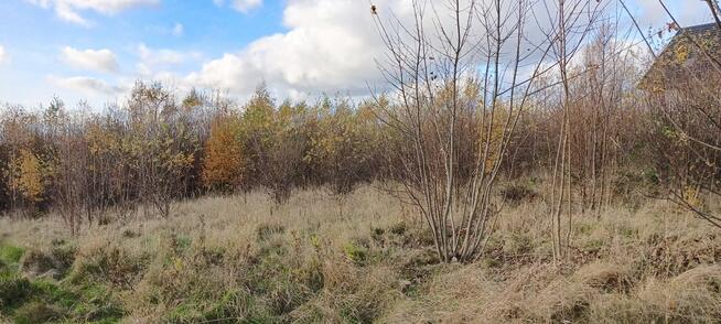 Działka budowlana Sychowo gm. Luzino, Jana Pawła Ii