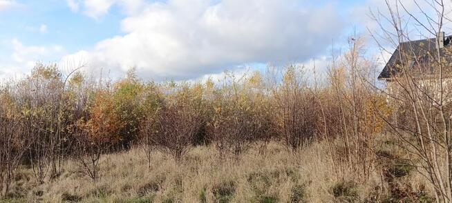 Działka budowlana Sychowo gm. Luzino, Jana Pawła Ii