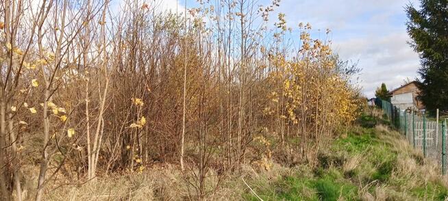 Działka budowlana Sychowo gm. Luzino, Jana Pawła Ii