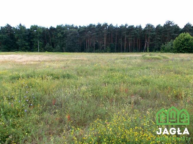 Działka rolna Bydgoszcz Zamczysko