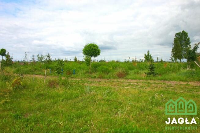 Działka Czarnowo gm. Zławieś Wielka