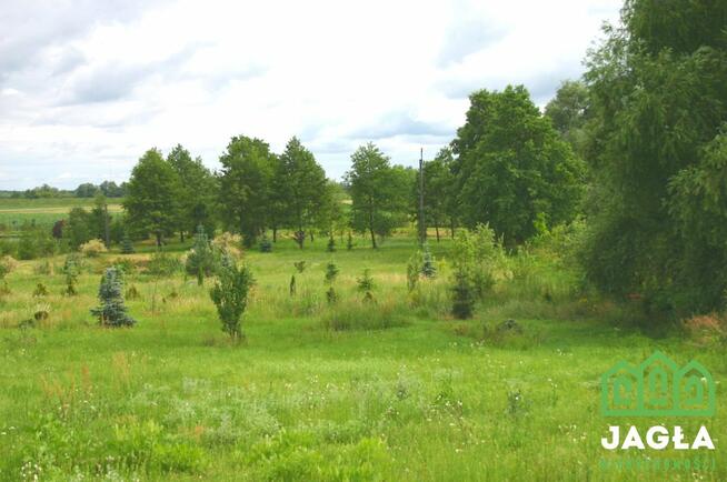 Działka Czarnowo gm. Zławieś Wielka