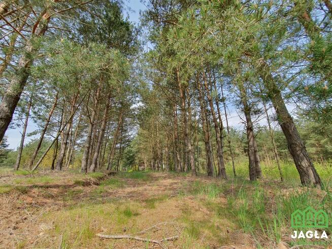 Działka budowlana Nowy Jasiniec gm. Koronowo