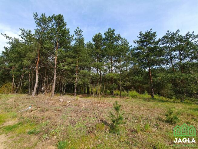 Działka budowlana Nowy Jasiniec gm. Koronowo