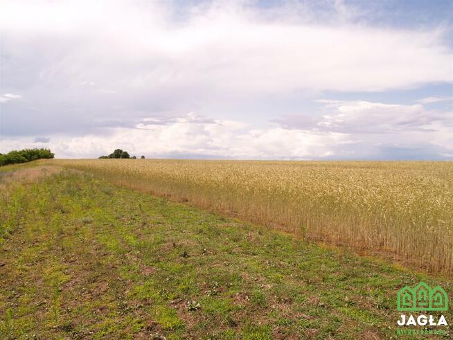 Działka budowlana Kcynia Józefkowo