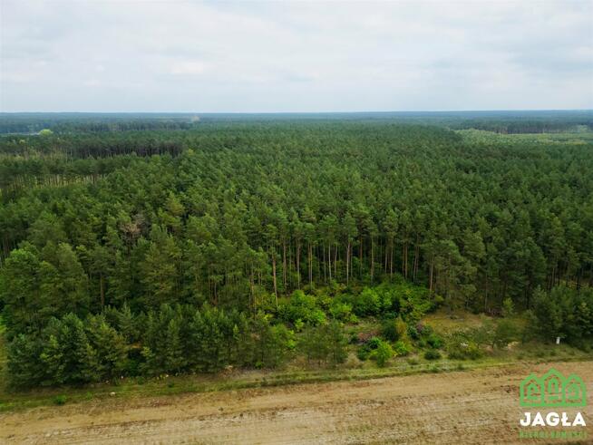 Działka rolna Samociążek gm. Koronowo