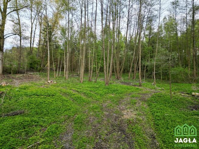 Działka Debrzno, Jeziorna