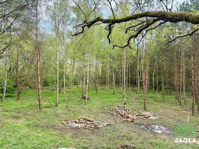 Działka Debrzno, Jeziorna