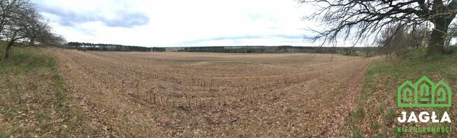 Działka Kołaczkowo gm. Szubin