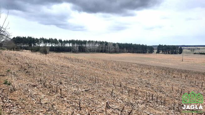 Działka Kołaczkowo gm. Szubin